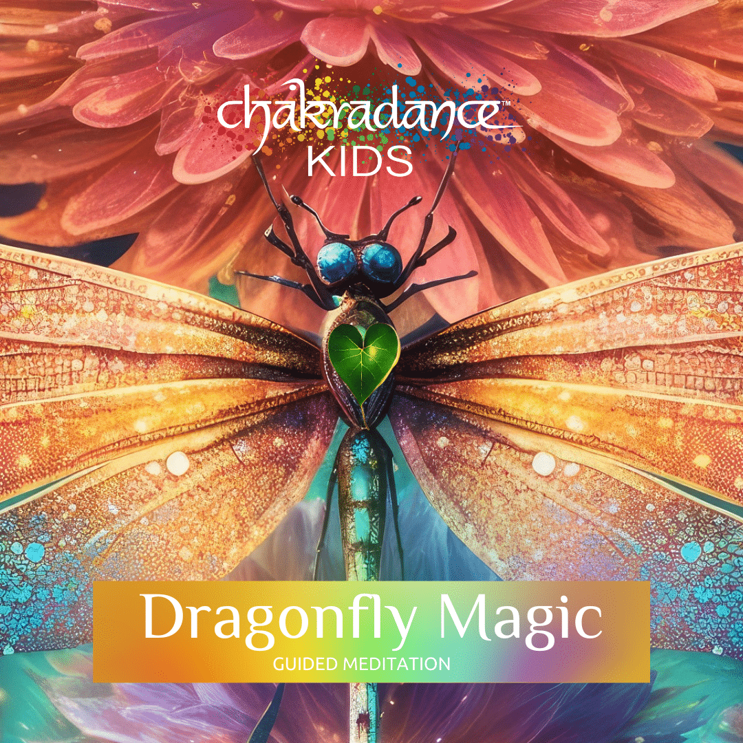 Cdk Dragonfly Magic Mp3